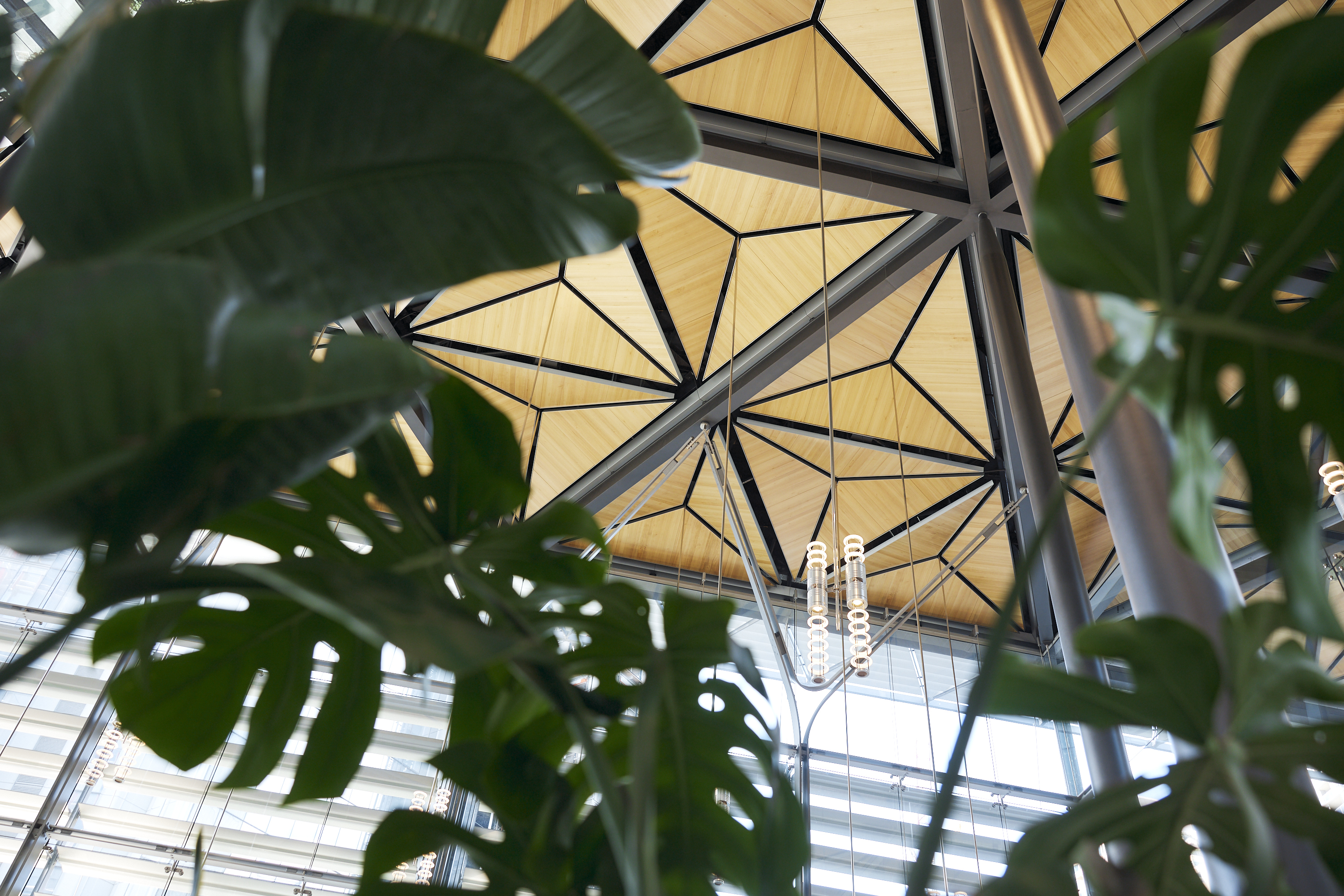 OIT_PLANTS_007.jpg